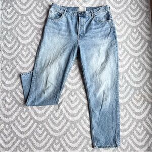 EVERLANE Women’s High Rise Button Fly Cheeky Blue Denim Jeans Plus 32 Regular